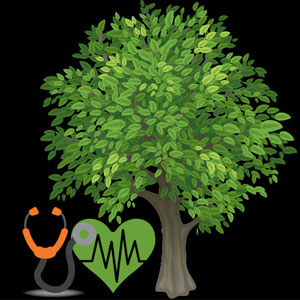 نقش چشمگیر درختان در بهبود سلامت انسان