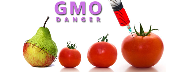 هدف اصلی استفاده از محصولات GMO سود آوریست نه کاهش مصرف سموم یا تضمین امنیت غذایی!
