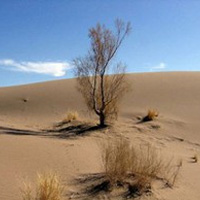 بیابان‌زایی؛ نتیجه 20 سال سوءمدیریت