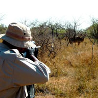 نگرانی‌ها نسبت به تصویب قرق‌های اختصاصی شکار