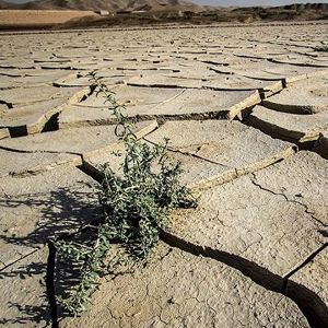 یک سوم خاک های حاصل خیز جهان نابود شده است