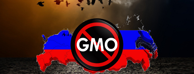دستور پوتین برای محافظت مردم روسیه در مقابل محصولات دستکاری شده ژنتیکی