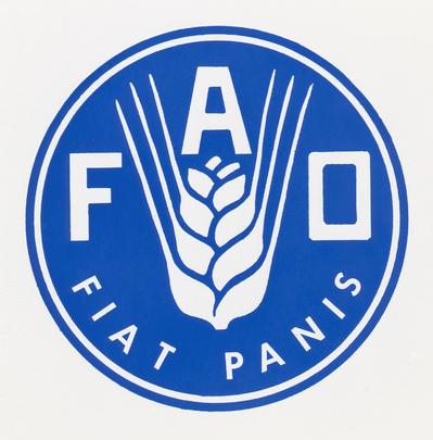فائو: قیمت شکر و روغن پالم در بازارهای جهانی افزایش یافت