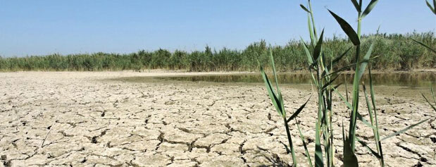 خشکی تالاب‌ هورالعظیم و تشدید ریزگردها در پی سدسازی‌های غیرکارشناسانه