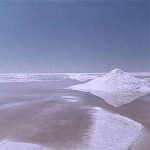 بحران ارومیه دامنگیر دریاچه نمک قم شد