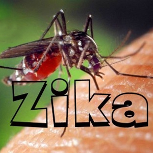 مقابله با ویروس زیکا با پشه ناقل اصلاح‌شده