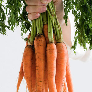 روزانه یک عدد هویج مصرف کنید