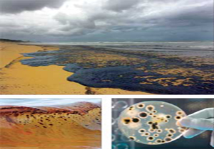 استفاده از باکتری‌های نفت خوار برای پاکسازی مناطق آلوده نفتی