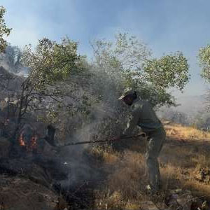 امدادرسانی به ۲۰۰۰ آسیب‌دیده در آتش‌سوزی جنگل‌های پاسارگاد
