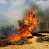 آماده باش محیط زیست برای جلوگیری از وقوع آتش سوزی در جنگل های تهران/ محیطبانان مستقر شدند