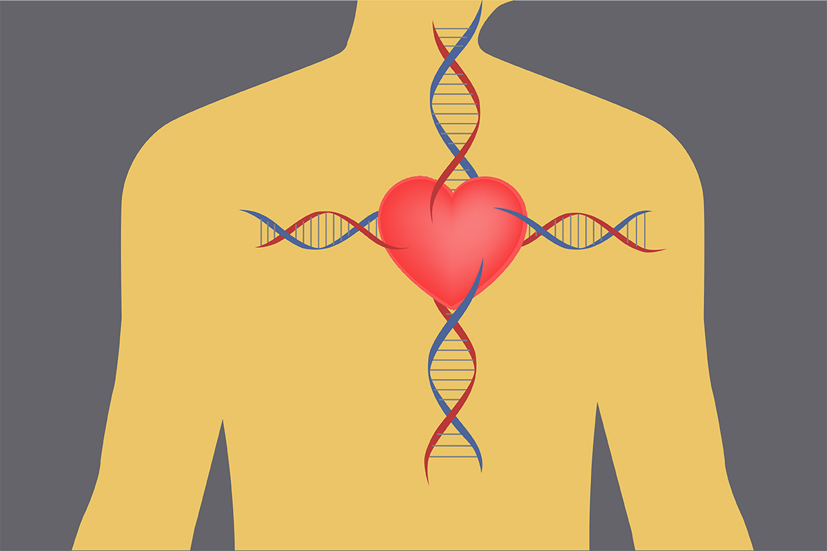کشف ژن درمان سرطان و پیشگیری کننده از سکته قلبی
