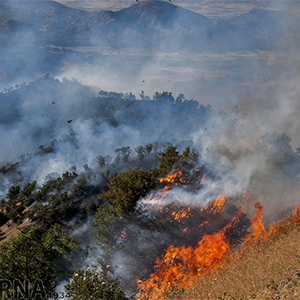 کاهش 60 درصدی آتش سوزی درجنگل های تحت حفاظت سازمان محیط زیست