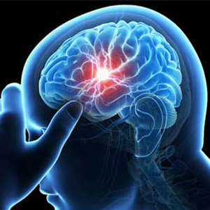 پروتز مغزی، راه گشای بیماری های مرتبط با حافظه