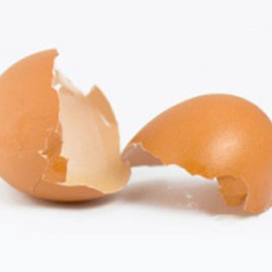 سنجش آلودگی های زیست محیطی به کمک پروتئین های پوسته تخم مرغ