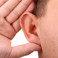 درمان اختلال شنوایی با کمک ملخ و جیرجیرک