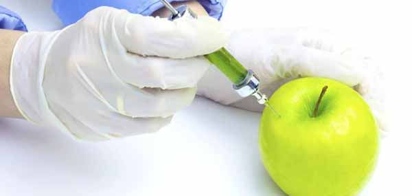 افسانه‌هایی در مورد سالم بودن محصولات دستکاری شده ژنتیکی