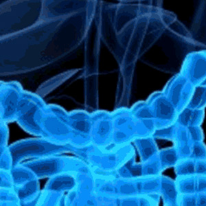 باکتری های روده اثربخشی درمان های جدید سرطان را افزایش می دهند