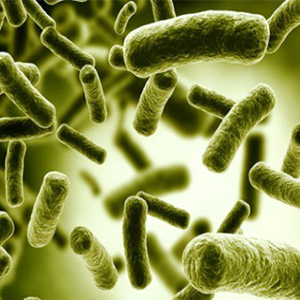 شیوه جدید مقابله با عفونت های مقاوم به آنتی بیوتیک