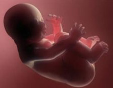 پزشكی قانونی مرجع صدور مجوزهای قانونی سقط جنین درمانی