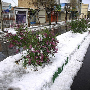استمرار برف و باران تا روز جمعه در سراسر کشور/ دمای شرق و غرب ایران زیر صفر