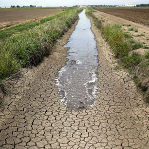 شوری آب، حیات خوزستان را تهدید می‌کند