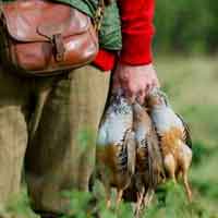 کشتار و فروش پرندگان مهاجر در مازندران همچنان ادامه دارد