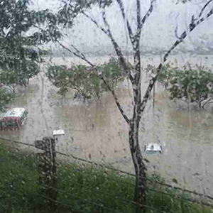 باران در 16 استان کشور می بارد/ وزش تندباد از فردا