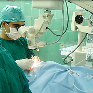 چشم پزشکان ایرانی با روش های جلوگیری از نابینایی آشنا می شوند