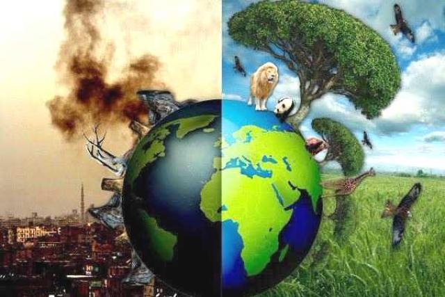 چگونه انسان عامل تخریب محیط زیست میشود؟