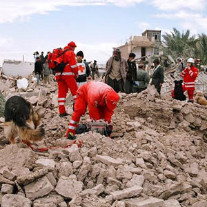 ١٤ سال پس از زلزله خون‌بار بم تصویرگران آن روایت کردند