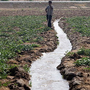 طغیان‌ بیماری‌‌ها در مناطقی که محصولات کشاورزی با فاضلاب آبیاری می‌شود