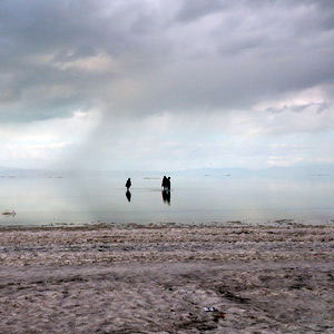 غبار دریاچه ارومیه «سمی» است/نگرانی از بروز سرطان در چند نسل