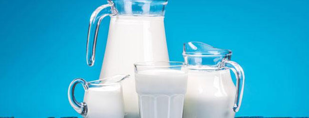 محاسبه قیمت شیر و لبنیات بر مبنای دلار در کشور!/درمان پوکی استخوان چندبرابر یارانه‌ شیر، خرج روی دست کشور می گذارد