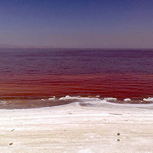 دومین دریاچه شور کشور کاملا خشک شده است