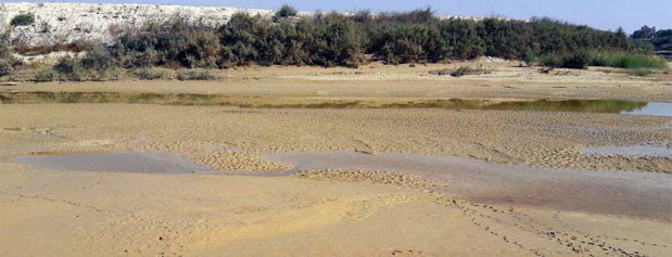 سدسازی روی رودخانه «زهره» عامل ریزگردهای اهواز است