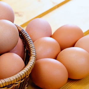 هشدار؛مرغ و تخم‌مرغ محلی نخورید