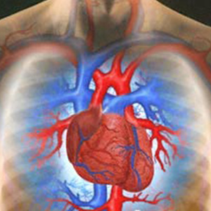 عوامل بیماری قلبی وعروقی