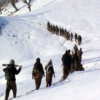 فوق‌لیسانس‌هایی که کولبری می‌کنند