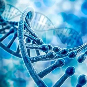 شناسایی ۸۳ تغییر جدید DNA تاثیرگذار بر قد