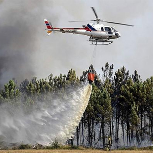 امسال بیش از ۳ هزار هکتار از جنگل‌های طبیعی در آتش سوخت