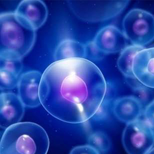 تولید داروهای ضد پیری با استفاده از سلول‌های بنیادی چربی