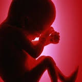اجازه سقط «جنین مبتلا به تالاسمی شدید»/ لزوم انجام آزمایش ژنتیک