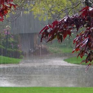 بارش باران در 11 استان/ هوای تبریز تا نوروز بارانی است