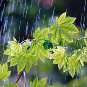 هوای کشور در روز تحویل سال بارانی است / پیش بینی هوای 11 شهر بزرگ در سه روز ابتدایی فروردین