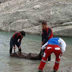 کشف جسد زن باردار تهرانی در رودخانه کشکان