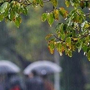 بارش باران در 16 استان کشور/ ورود ریزگردها به کشور