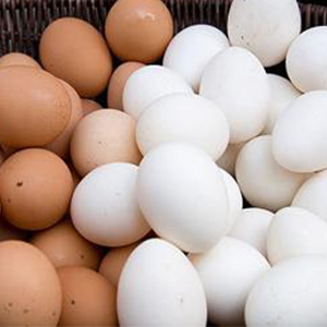 تذکر سازمان غذا و دارو به واحدهای تولیدی موادغذایی درباره استفاده از تخم‌مرغ