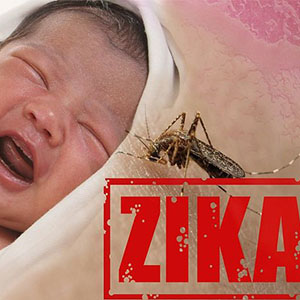ویروس «زیکا» می تواند منجر به بروز صرع در نوزادان شود