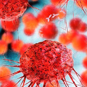 کشف انواع جدید سلول‌های خونی