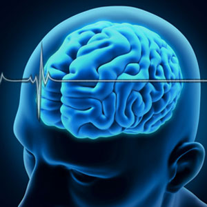 آنگاه که مغز می‌میرد